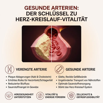 7500mg Gereifter Geruchloser Knoblauchextrakt (Weichkapseln) – Zur Unterstützung der kardiovaskulären Vitalität