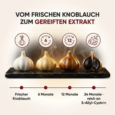7500mg Gereifter Geruchloser Knoblauchextrakt (Weichkapseln) – Zur Unterstützung der kardiovaskulären Vitalität