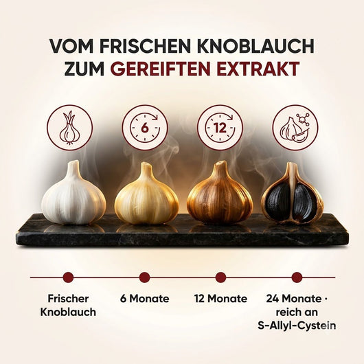 7500mg Gereifter Geruchloser Knoblauchextrakt (Weichkapseln) – Zur Unterstützung der kardiovaskulären Vitalität