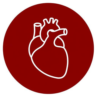 CoQ10 Ubiquinol 50 mg
